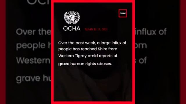 Western Tigray ethnic cleansing by Amhara militia смотреть онлайн