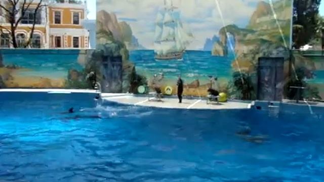 дельфинарий 001 смотреть онлайн