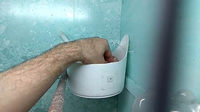 Гибридный птенец горлиц. Возраст 2 е суток. смотреть онлайн