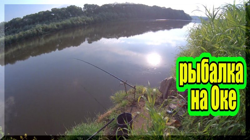 Заставляете бегать. Уважаемый! А загибал, как большой... Рыбалка на Оке. смотреть онлайн