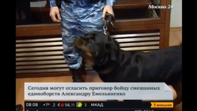Суд огласит приговор спортсмену Александру Емельяненко смотреть онлайн