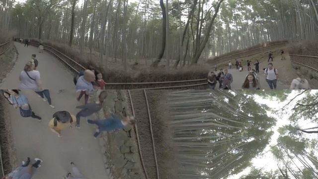Arashiyama or Sagano Bamboo Forest - 360 video смотреть онлайн