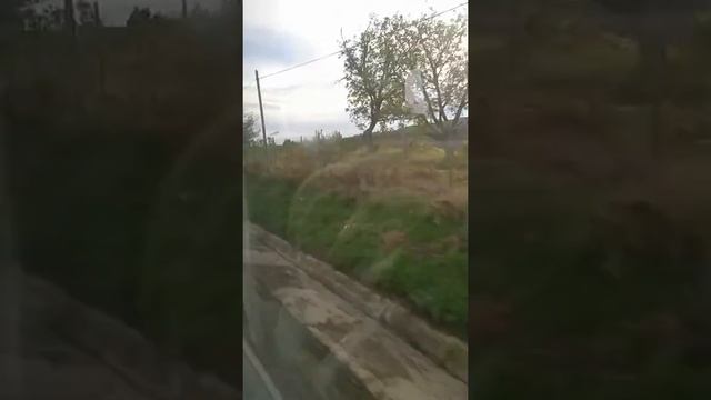 Travelling To Timisoara Romania смотреть онлайн