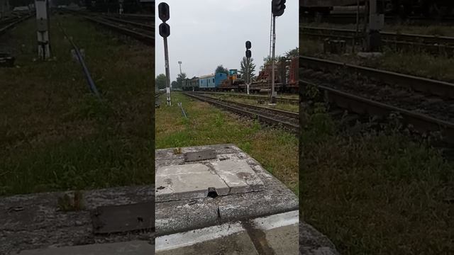 Дає ''Ведмедя'' не судіть строго !!! смотреть онлайн