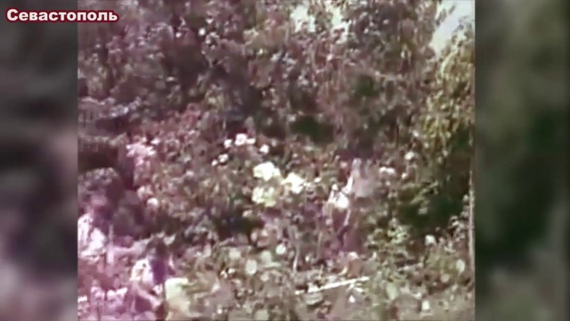 Памяти Грузин павших освобождая Севастополь.