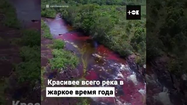 Самая красивая река в мире. Колумбия смотреть онлайн