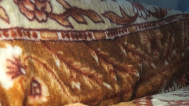 мои покупки из леонардо смотреть онлайн