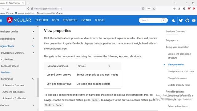 Основы Angular + Java/Spring: Angular DevTools (2022) смотреть онлайн