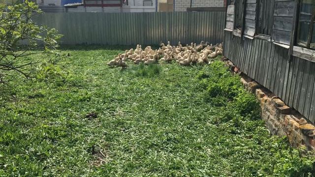 28-04-2023 смотреть онлайн