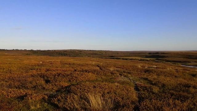 Пешка по тундре Северного Тимана / Россыпи драгоценностей / 5 часть смотреть онлайн