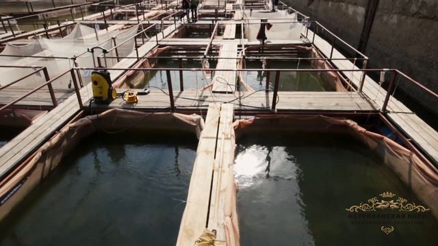 ООО РВК Раскат смотреть онлайн