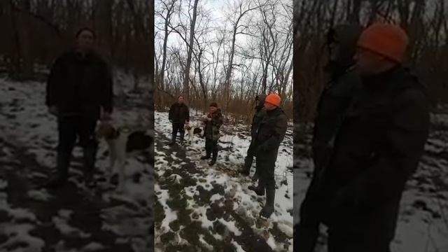 Расценка РПГ "Набат" вл.Загоруйко К.В. на Ставропольских состязаниях гончих 2022 смотреть онлайн