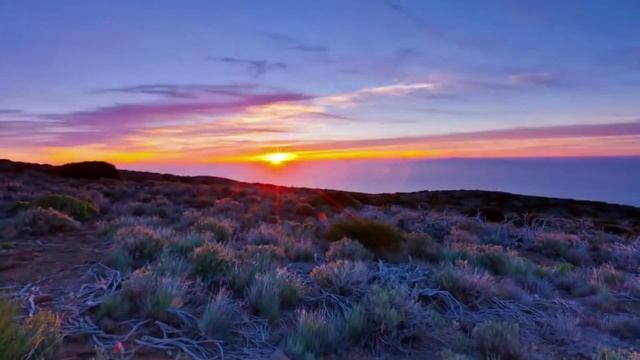 В.Брюсов " Я люблю тебя и небо" смотреть онлайн