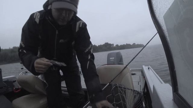 Крупный силикон + panoptix livescope = море судака на ОКЕ смотреть онлайн