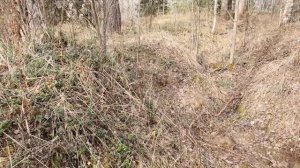 Ржев. Экспедиция по местам Ржевской мясорубки.