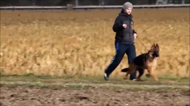 Brian 18 01 2015 смотреть онлайн