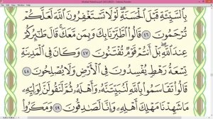 Шейх Айман Сувейд сура Ан Намль стр 381