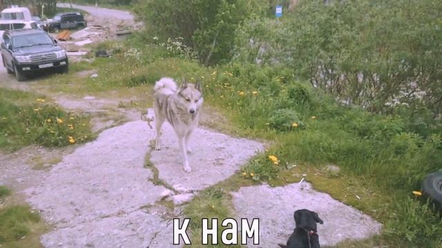 my typical day *how I live* | мой типичный день *vlog 4* смотреть онлайн