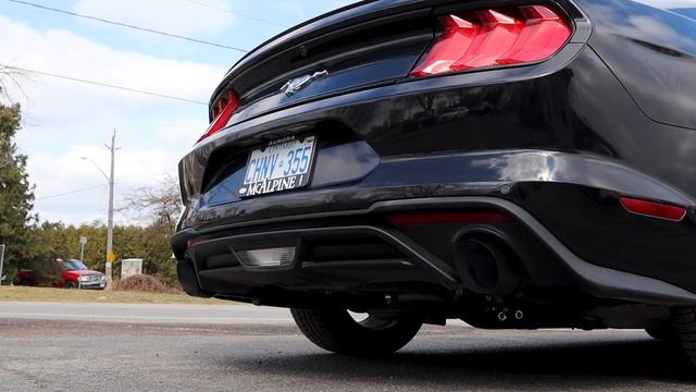 MBRP 3" Cat Back Race Series Exhaust on 2019 Ford Mustang 2.3 Ecoboost смотреть онлайн