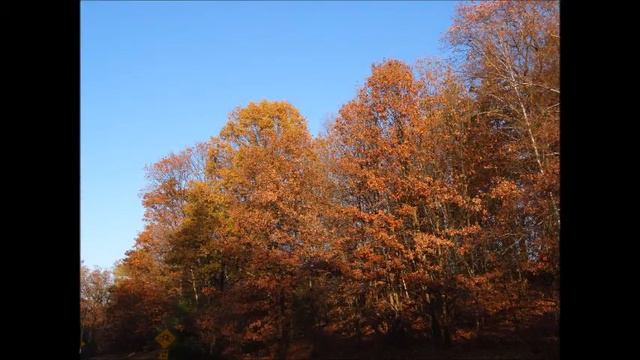 Crystal Singing Bowl With Flute And Harp