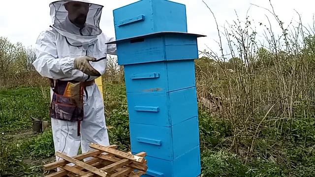 Народный улей Варрэ. Деление взакрытую смотреть онлайн