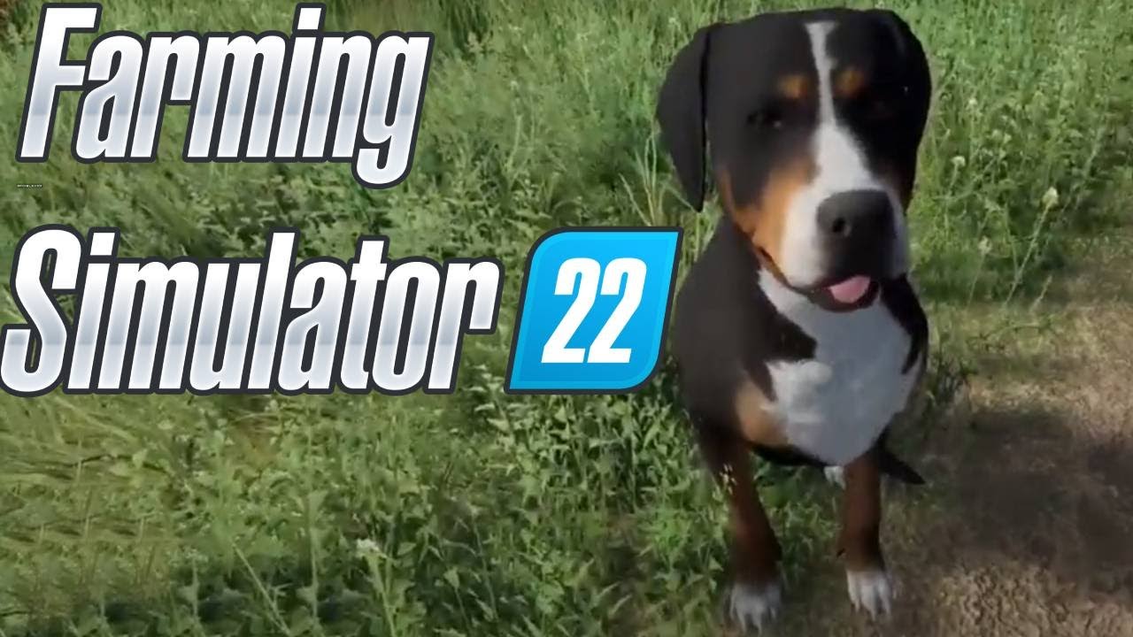 ЗАВЕЛИ себе СОБАКУ в Farming simulator 22. #14. КООП. смотреть онлайн