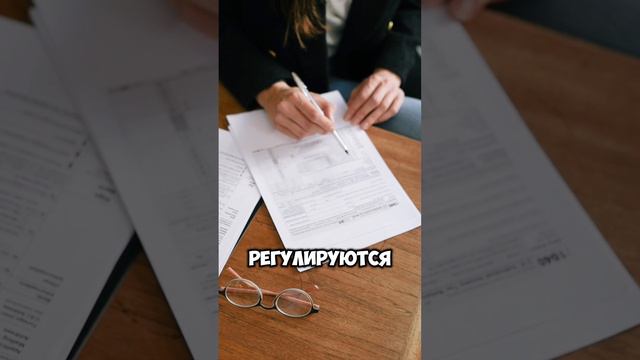 Где выдают образовательный кредит с государственной поддержкой