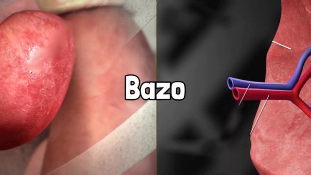 El Asombroso SISTEMA LINFÁTICO: Cómo Funciona, Partes, Para Qué Sirve, Linfa, Enfermedades
