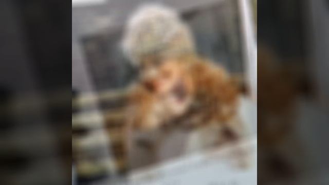 БОХО - ШАПКИ ! ШАПКИ! ШАПКИ ! ✨✨✨ ИДЕИ ДЛЯ ОСЕНИ ! ✨✨✨ knitted hats смотреть онлайн