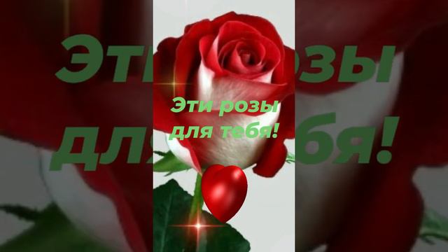ЭТИ РОЗЫ ДЛЯ ТЕБЯ! 🌹🌹🌹🌹🌹❤️💖 смотреть онлайн