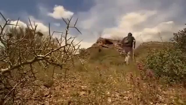 Extinction Smilodon, The Saber Toothed Tiger Nature & Animal Documentary смотреть онлайн