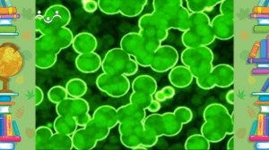 Школа Шишкиного Леса. Природоведение. Зеленушка