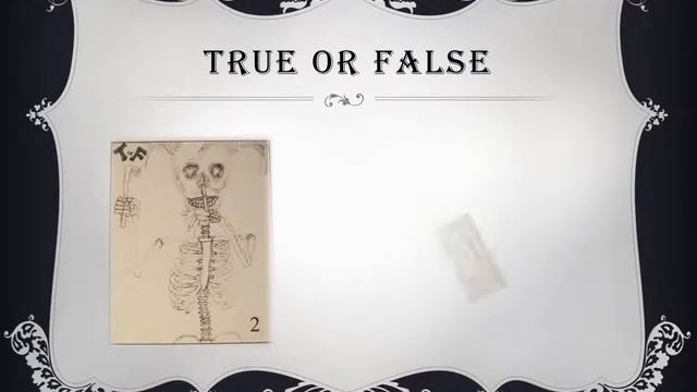 Bulla Somes Anatomy Trivia Game смотреть онлайн