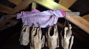 Вяленый гусь//Просто и вкусно