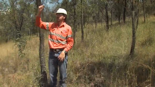 Mine Rehabilitation: An Ecological Rehabilitation Case Study At Mount Owen Mine, Hunter Valley, NSW