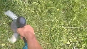 Стрижка газона Шуруповертом в труднодоступных местах где не пройдет ни одна газонокосилка