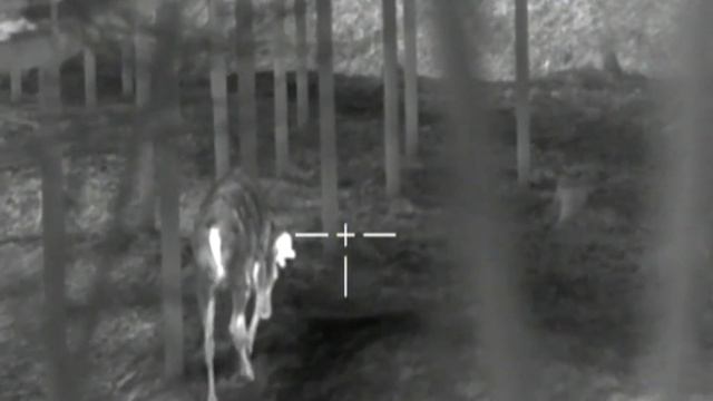 FORTUNA.ARMY - Что такое тепловизор? Вся необходима яинформация о тепловизорах. смотреть онлайн