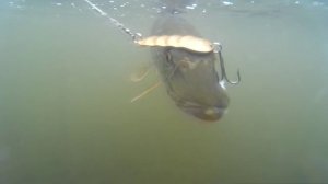 ОЧЕНЬ КРАСИВОЕ ВИДЕО ПРО РЫБАЛКУ! САМЫЕ ЛУЧШИЕ МОМЕНТЫ НА РЫБАЛКЕ....