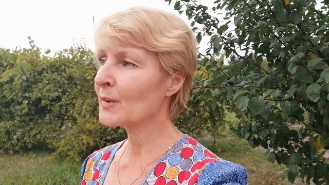 Показываю сад и огород. Закрываю малиновый компот. смотреть онлайн