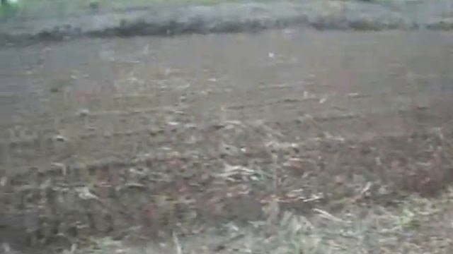 Я и Николай на шабашке.Фрезеруем.И плюс свой огород. смотреть онлайн