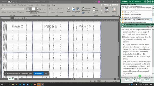 JA Excel 5 5 6 Changing Views and Setting Breaks смотреть онлайн