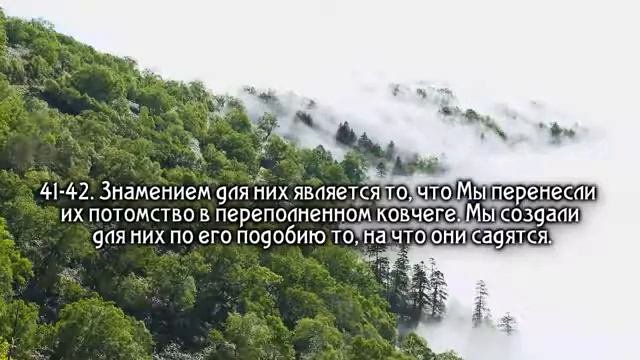 Sura 36 Yasin beautiful reading Сура 36 «Ясин» чтение Корана смотреть онлайн