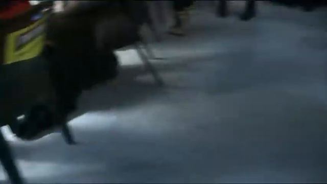 Выставка собак Адреналин 2011 7 смотреть онлайн