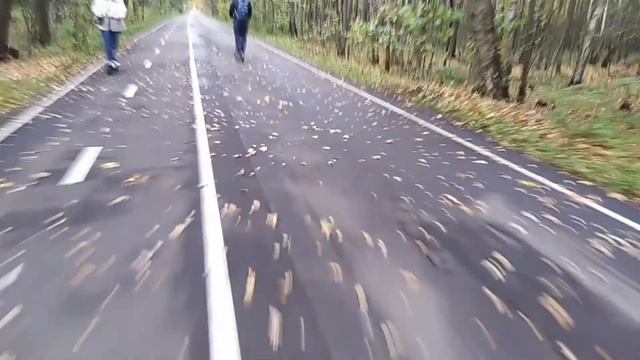 Через "Лосиный остров" / Through "Losiny Ostrov National Park" in Moscow 01.10.2020 смотреть онлайн