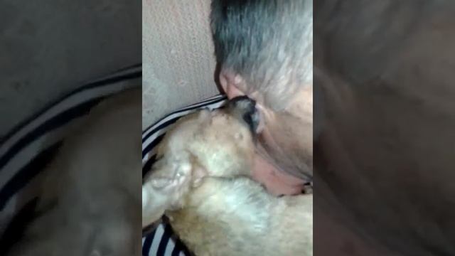 Как почистить уши деду (прикол) смотреть онлайн