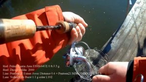 Ловля форели на платнике # 23. Форель и на блесна ValkeIN Hi Burst