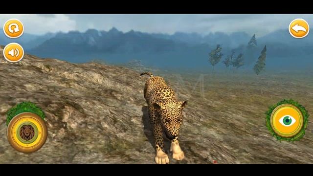 Real Cheetah Cub Simulator 3D - Cheetah Simulator Games | Bear, Elephant, Rhinoceros, Wolf Games смотреть онлайн