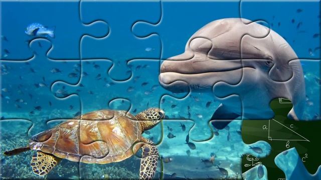 Обитатели морей и океанов для детей. Звуки животных и подводный мир. Морские животные для малышей смотреть онлайн