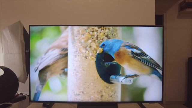 Samsung Crystal UHD 4K TV 2021 | Model AU9070 | Unboxing and Initial Impressions | Punchi Man Tech смотреть онлайн