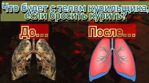 Что произойдёт с организмом, если бросить курить?